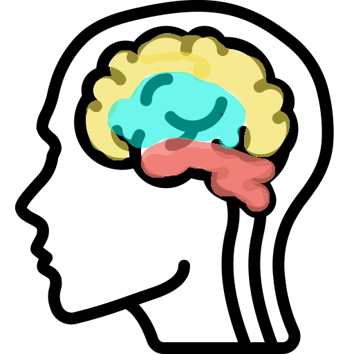 disegno con le 3 aree principali del cervello